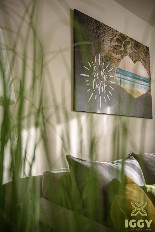 Iggy Luxury Apartment Hunedoara Exteriér fotografie