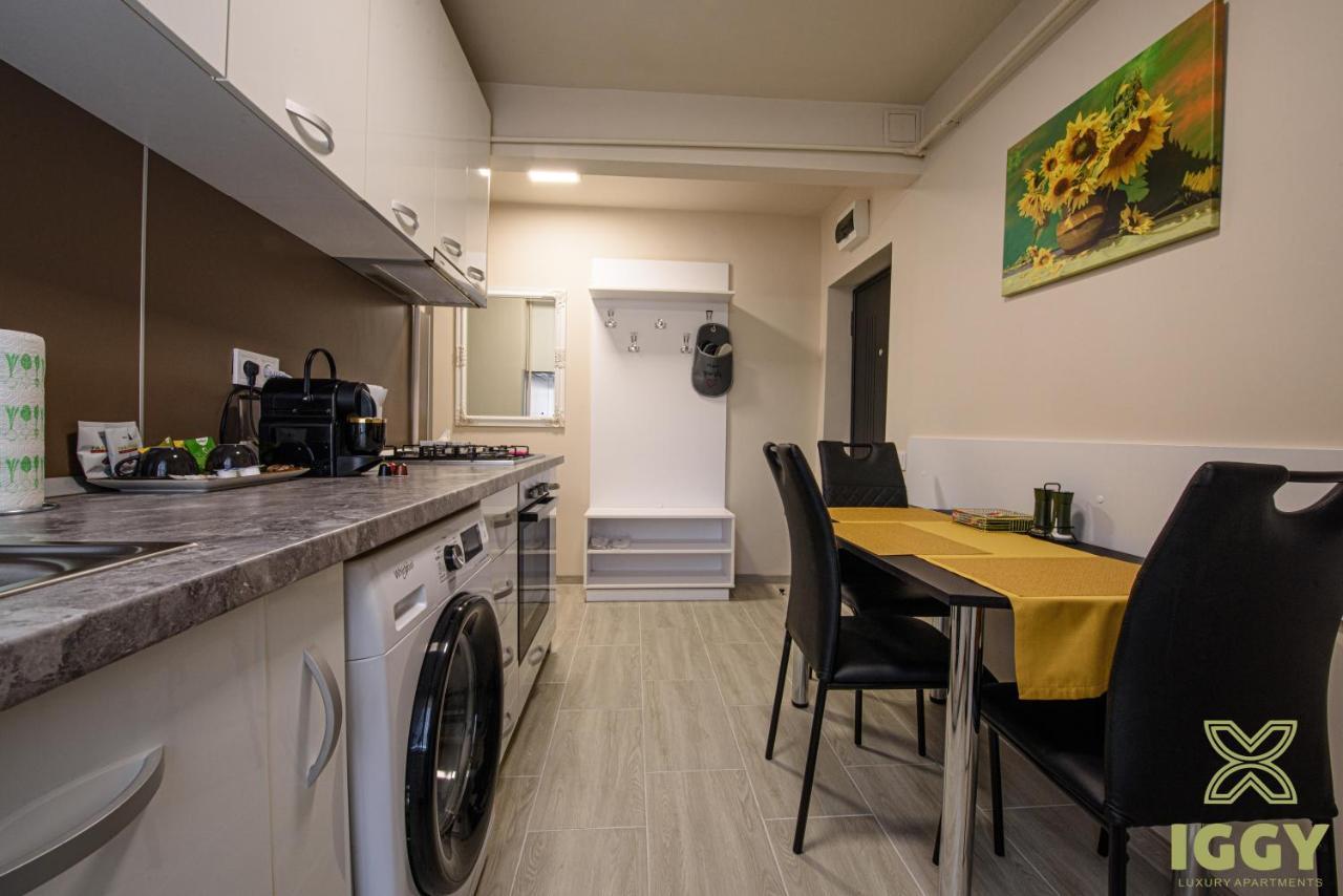 Iggy Luxury Apartment Hunedoara Exteriér fotografie