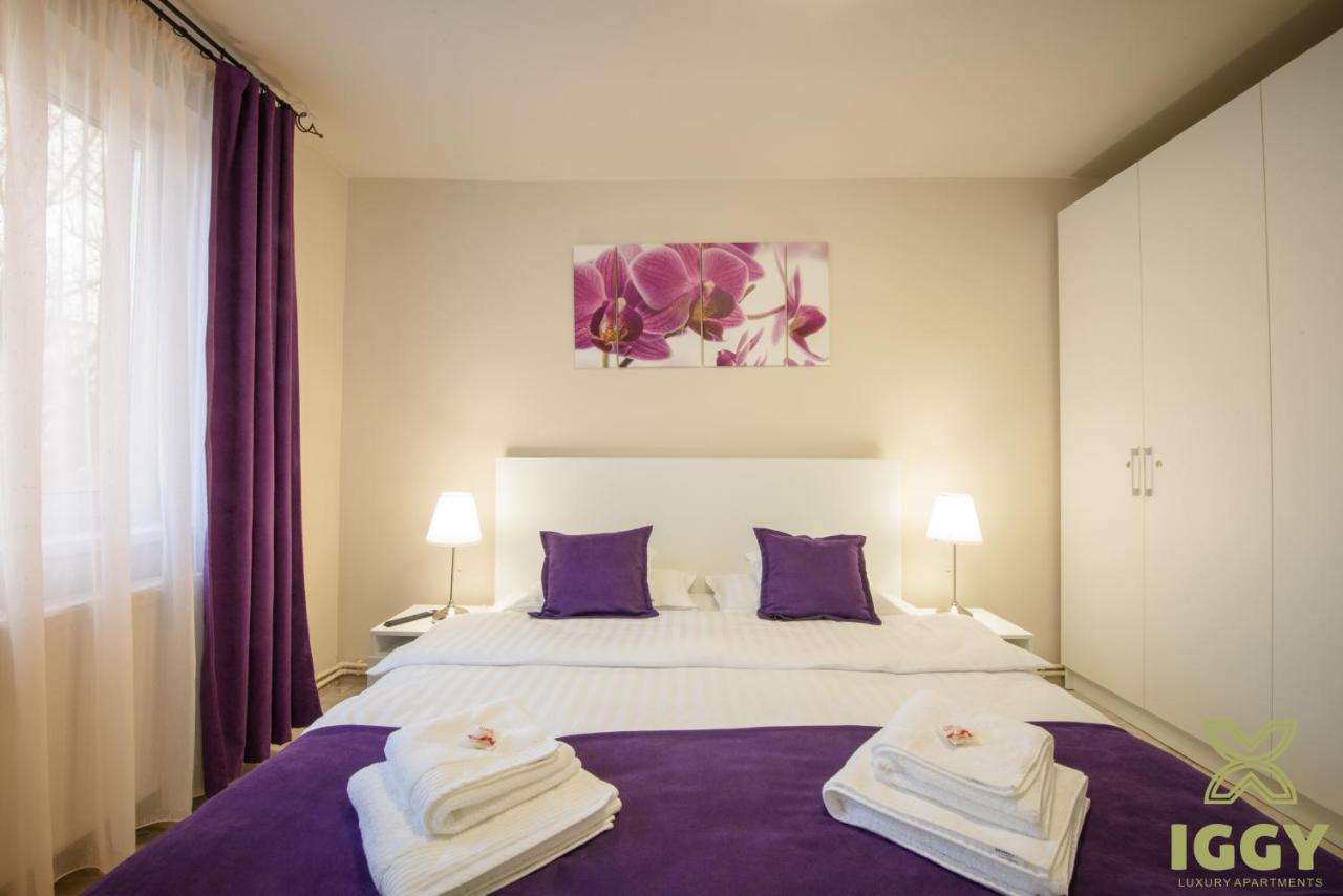 Iggy Luxury Apartment Hunedoara Exteriér fotografie