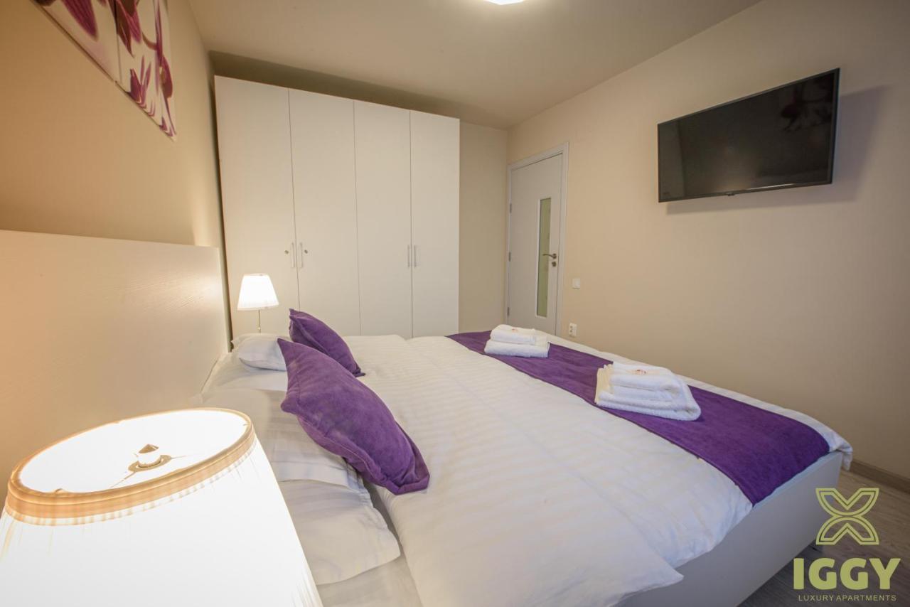 Iggy Luxury Apartment Hunedoara Exteriér fotografie