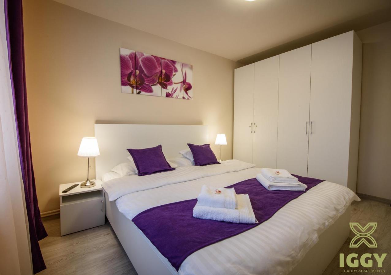 Iggy Luxury Apartment Hunedoara Exteriér fotografie