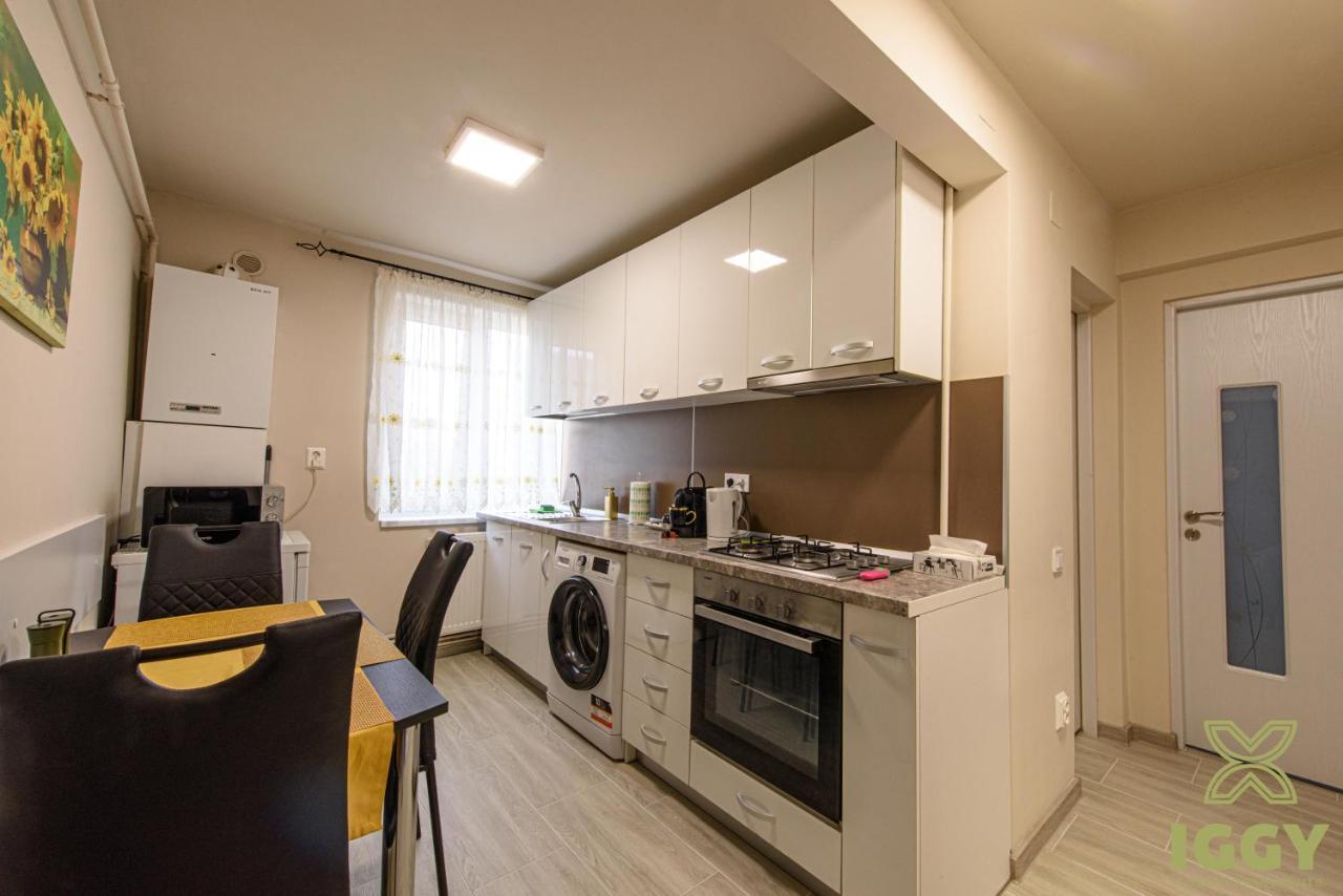 Iggy Luxury Apartment Hunedoara Exteriér fotografie