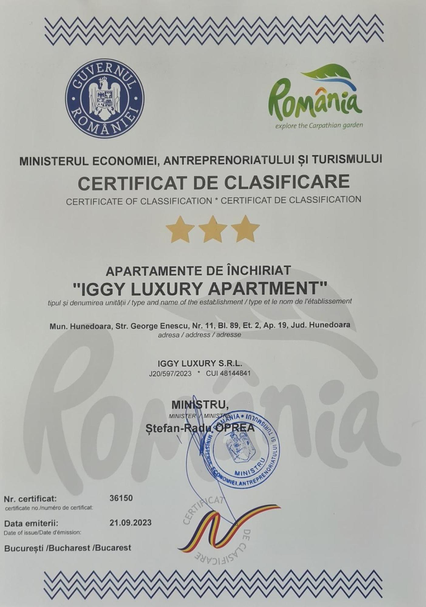 Iggy Luxury Apartment Hunedoara Exteriér fotografie